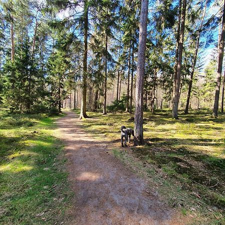 Ferienwohnung Schuberski Lipperreihe Eksteriør billede